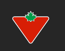 Logo-Canadian Tire
